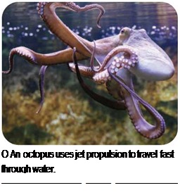 Подпись: О An octopus uses jet propulsion to travel fast throuqh water. / 