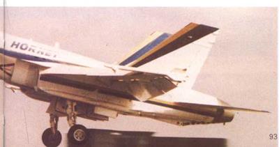 McDonnell Douglas/Northrop F-18 Hornet and Cobra