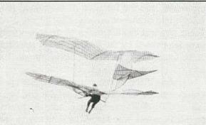 &amp;#9632; Gliders