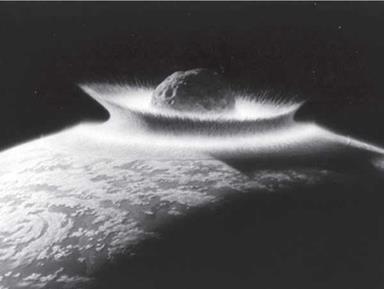 Comet Impacts as Vectors for Life