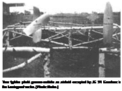 Подпись: Two fighter pilots’ graves outside an airfield occupied by JG 54 Grunherz in the Leningrad sector. (Photo: Hofer.) 